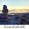 Logical Fleadh (17-Track Album) cover artwork